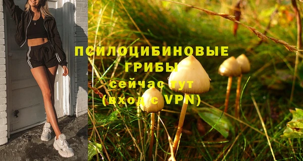 ALPHA PVP Алексин
