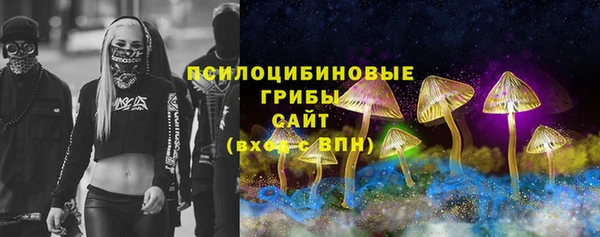 ALPHA PVP Алексин