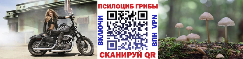 Галлюциногенные грибы MAGIC MUSHROOMS  OMG ССЫЛКА  Дно 